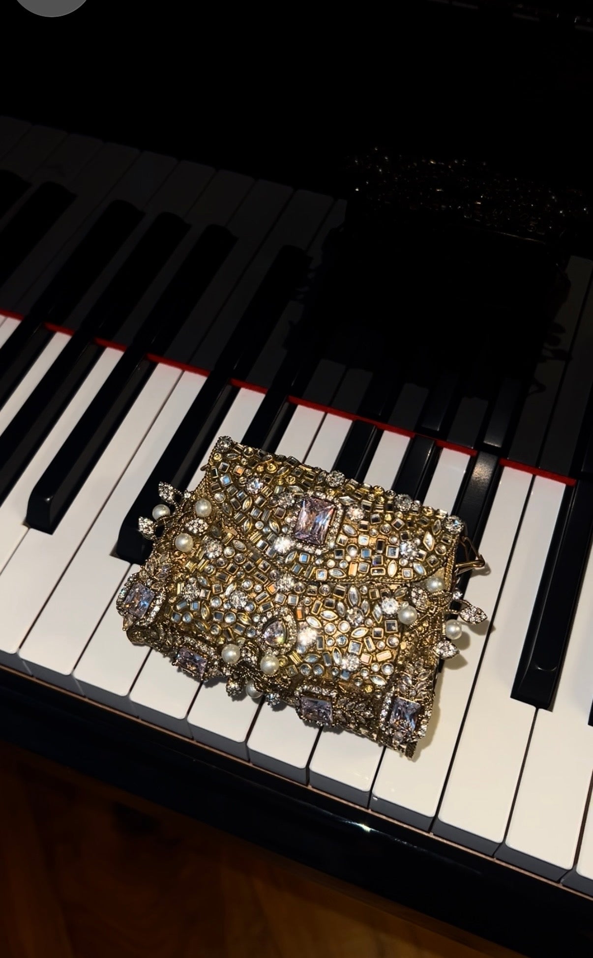 Crown Jewels Mini Bag